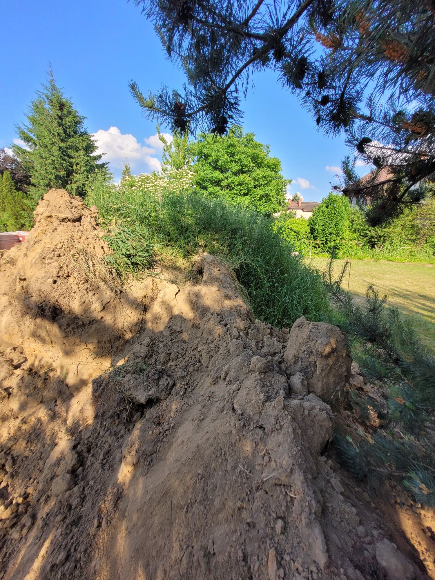 Oddam ziemię za darmo na podwyższenie terenu