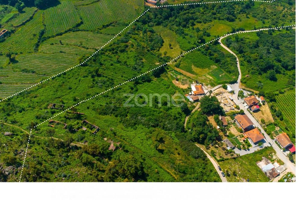Quinta com Casa e Terreno de 18 hectares em Vila Boa do Bispo