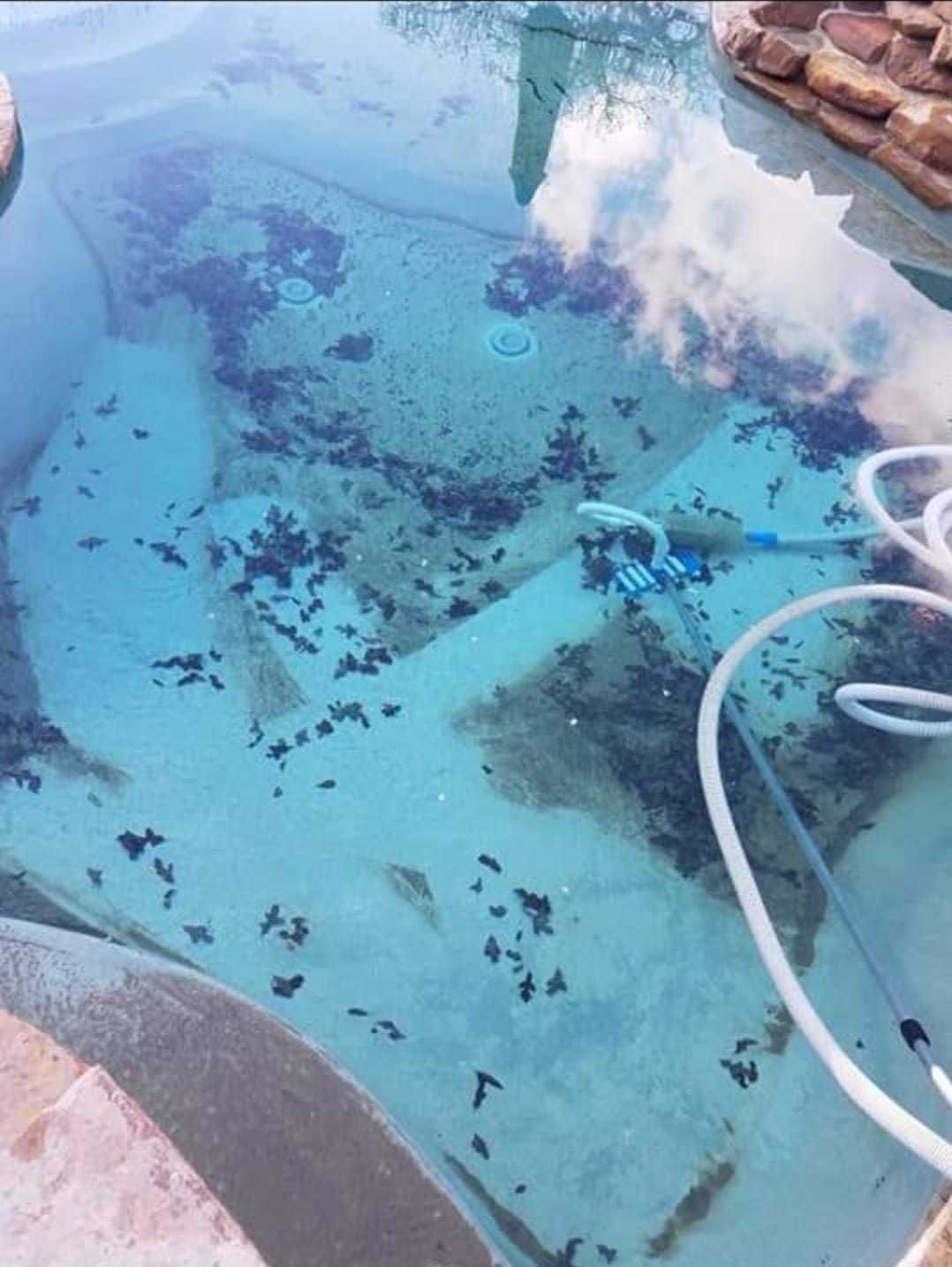 Manutenção de Piscinas