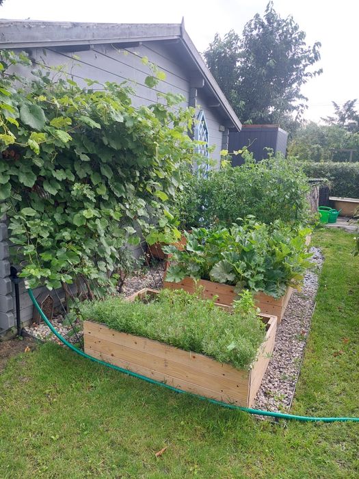 Działka ROD Zlote Piaski Siedlce