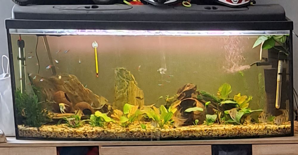 Akwarium panoramiczne 180litrow z pokrywą.