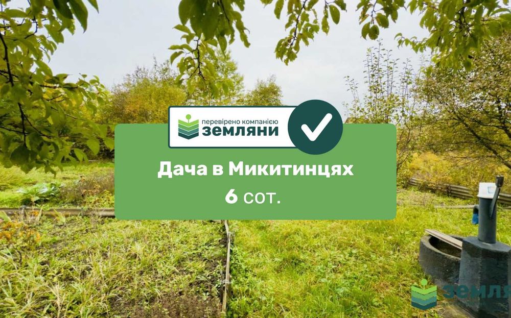 Продається дачна ділянка 6 сот у Микитинцях (7)