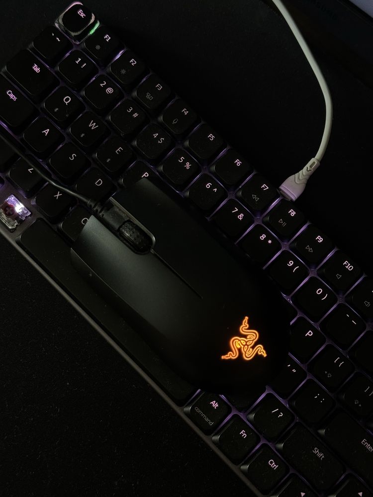 Компютерна Мишка ігрова Razer Abyssus Lite