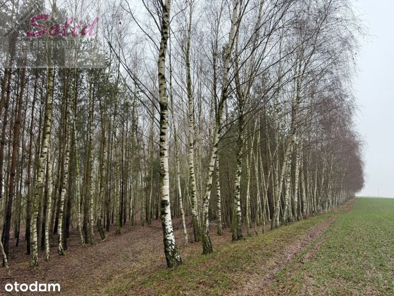 Atrakcyjna działka z warunkami zabudowy w spokojnej okolicy