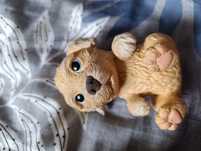 Little Live Pets OMG Pets Playset Soft Puppy