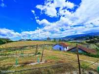 Herdade  para venda