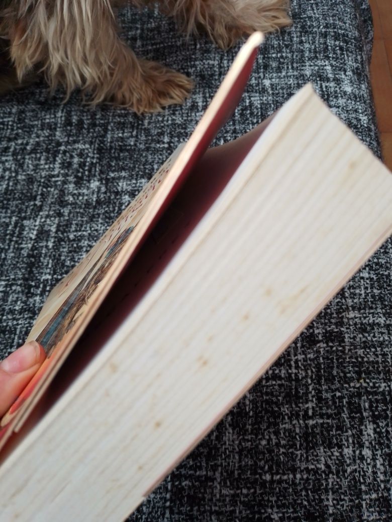 Livro de Anne Maccaffrey