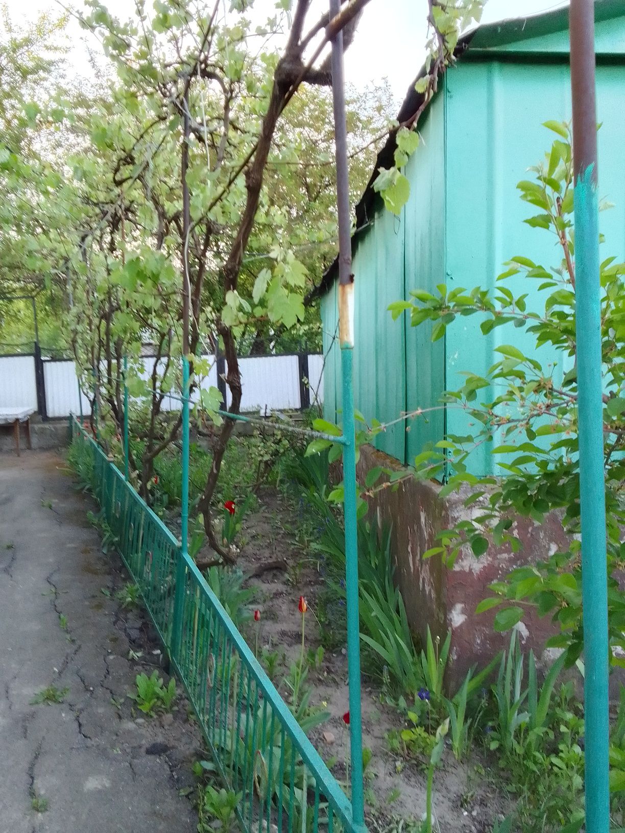 Продам будинок в м.Городок Хмельницької області ,центр.все шагові дост