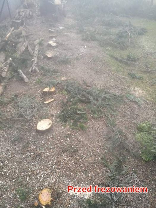 Frezowanie usuwanie pni, wycinka drzew koszenie terenòw zielonych