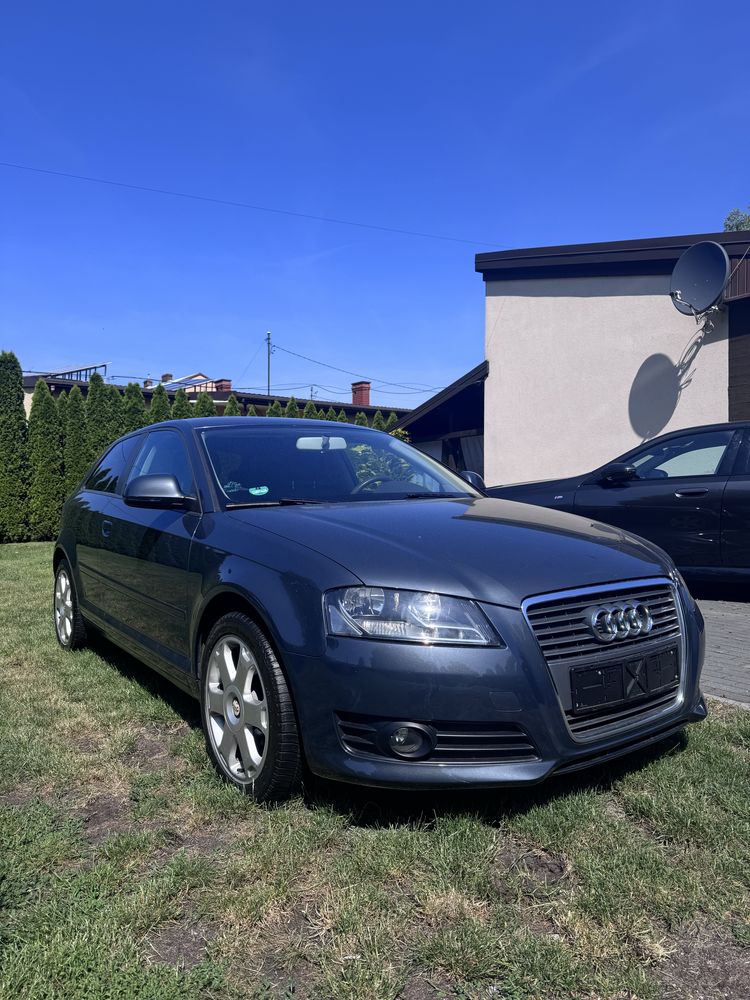 Audi A3 8P 1.9 TDI