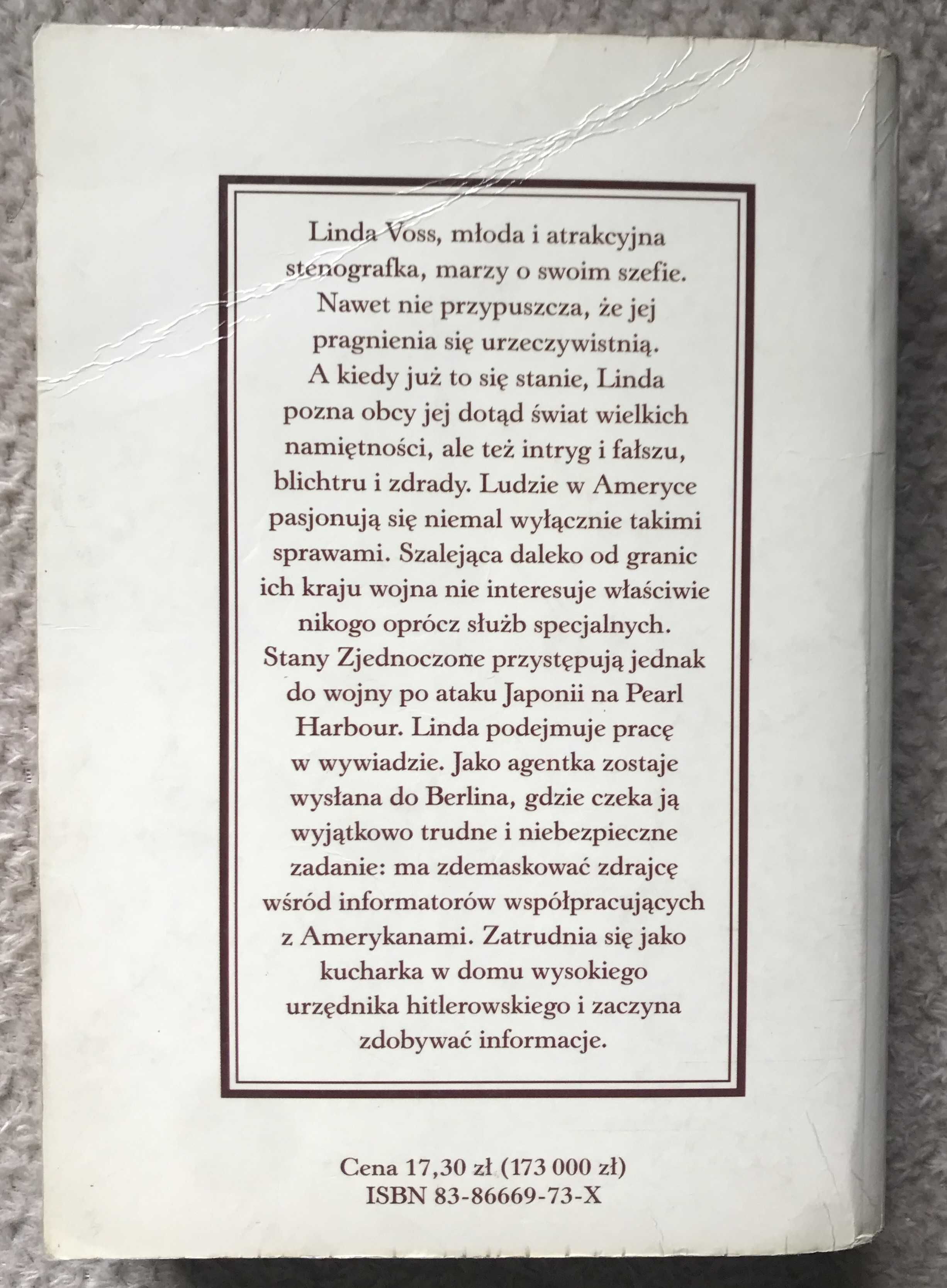 Światło w mroku. Isaacs Susan książka