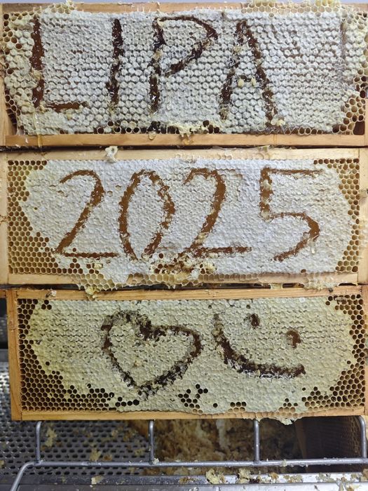 Miód z własnej pasieki