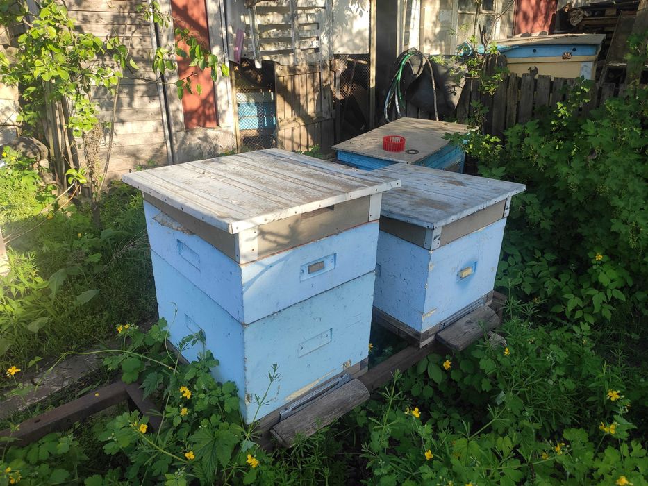 Улья, улей для пчел, разные