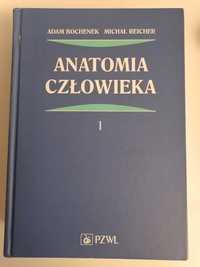 Książka Anatomia człowieka Tom 1  Bochenek, Reicher