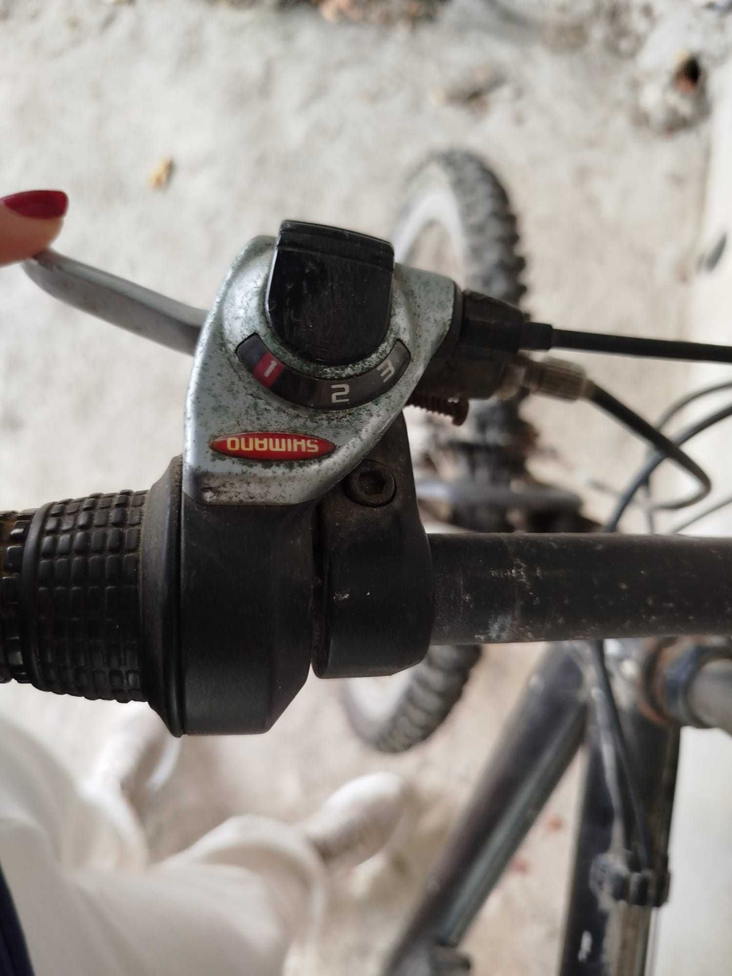 Vendo bicicleta.