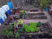 Horticulas Com Vaso