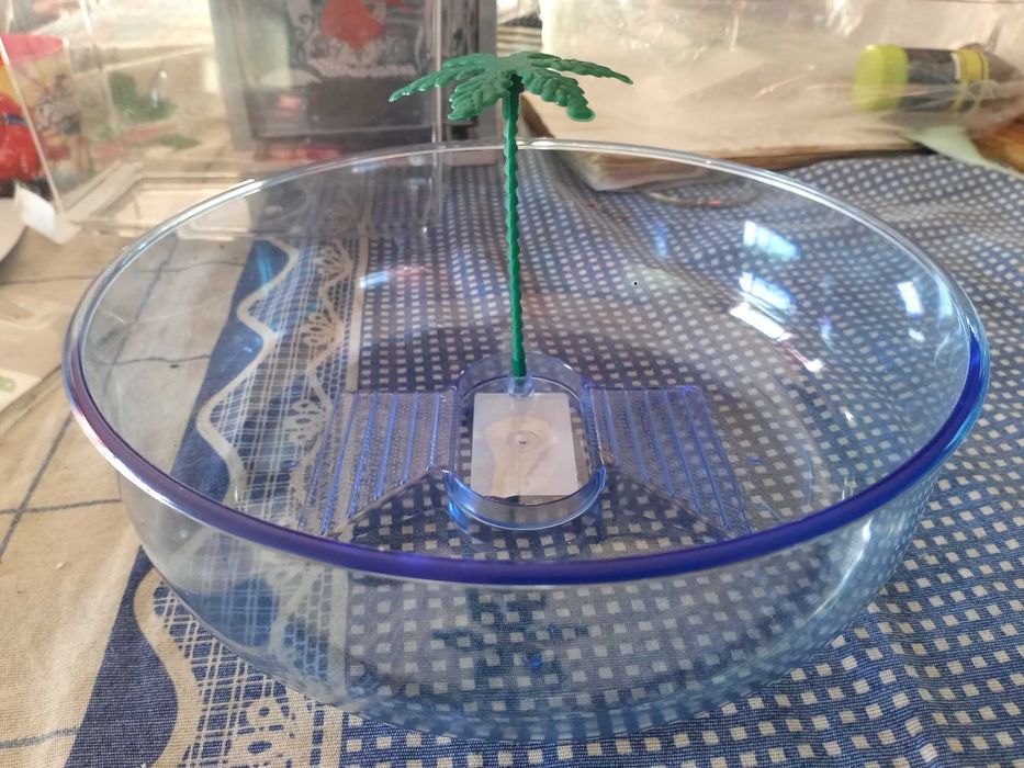 Tartarugueiras novas