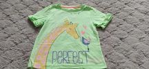 Zielony t-shirt z żyrafą