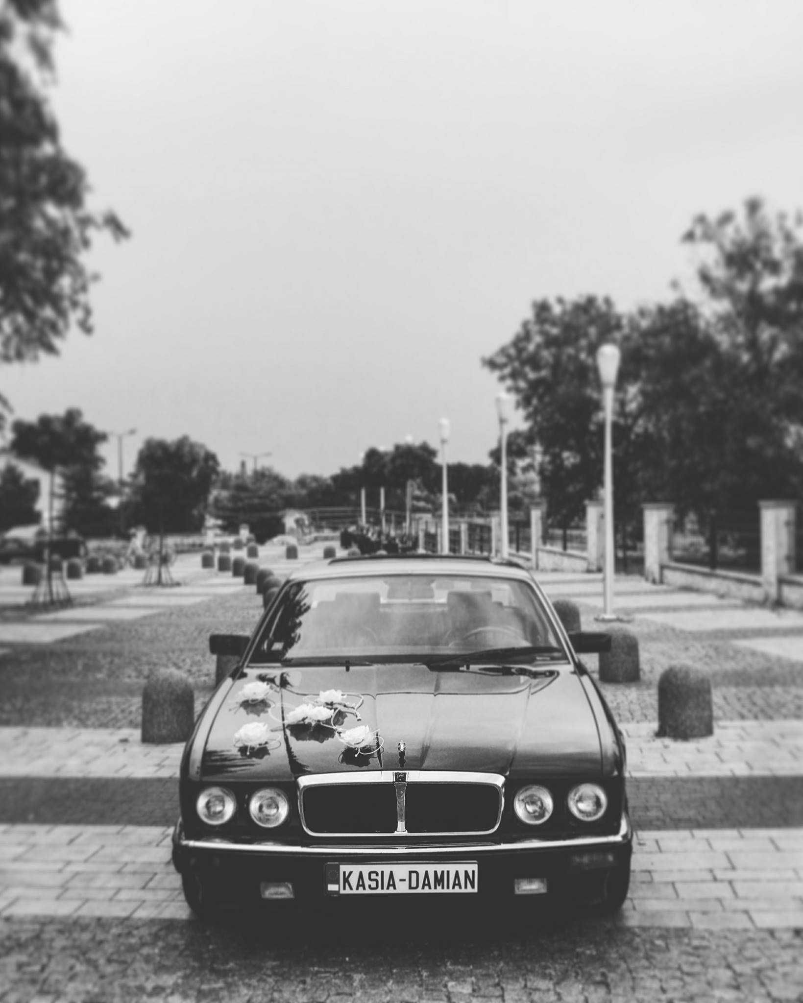 Jaguarem na wesele Limuzyna do Ślubu Auto Wesele Podkarpackie Mielec