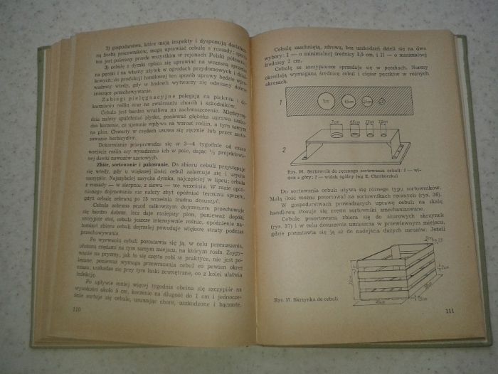 Ogrodnictwo ogrodnictwa Warzywnictwo Kurek 1963 Rolnictwo Wiadomości