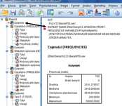 Analiza statystyczna SPSS / JASP / JAMOVI / metodologia / psychometria
