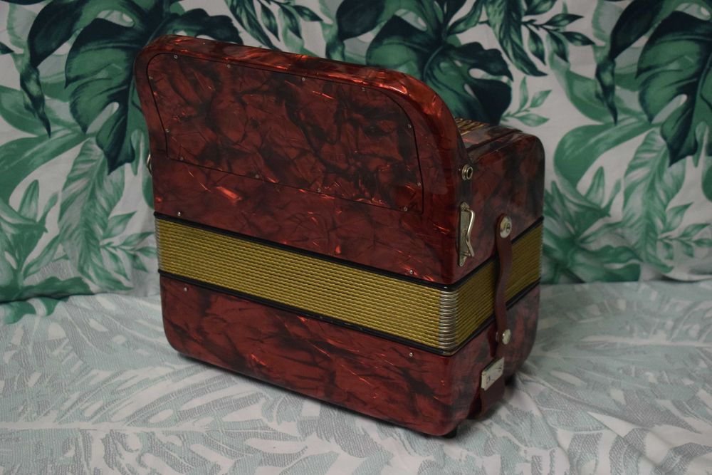Acordeao Hohner Amati 2 Voz 48 Baixos, N 72