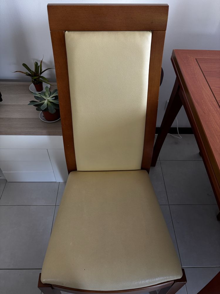 Mesa com 6 cadeiras