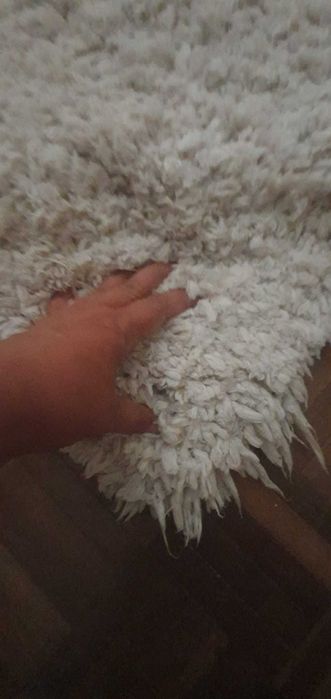 Tapete AREA 3 metros- lavado e desinfetado