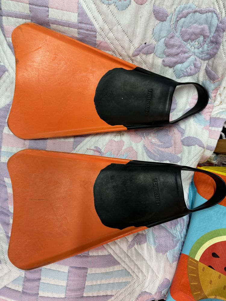 Diverso Material Aquático Criança