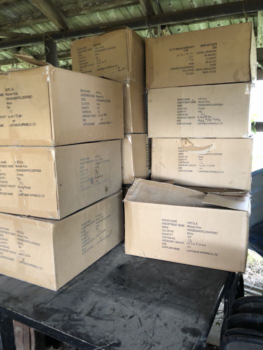 Bukszpan zielona ściana