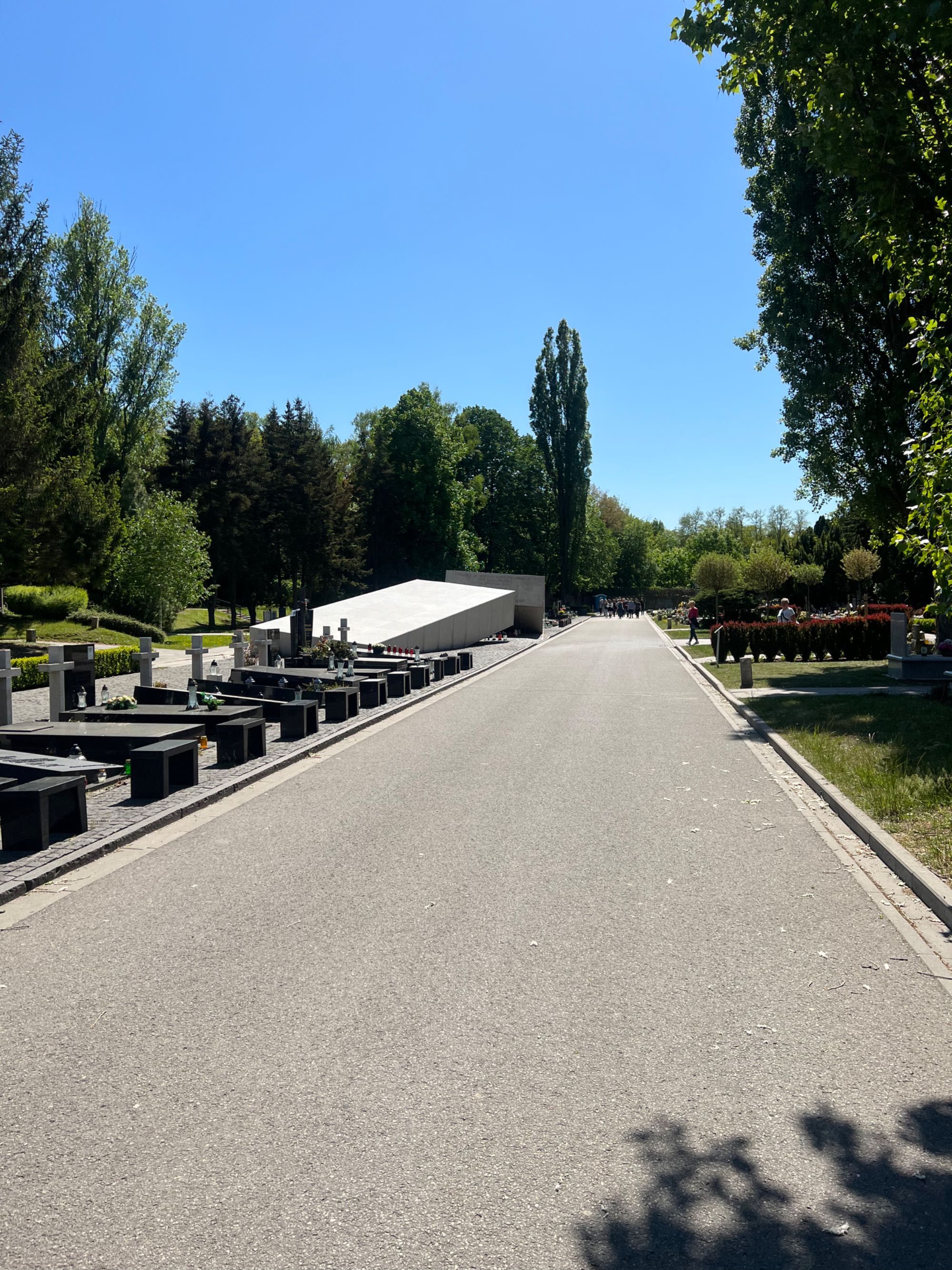 Powązki Wojskowe Wawa , Grób, Grobowiec Murowany 4 Katakumby ,Odstąpię