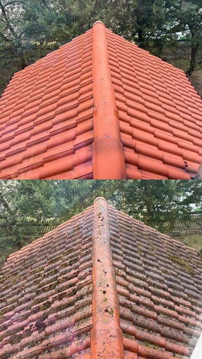 Kompleksowe mycie dachów