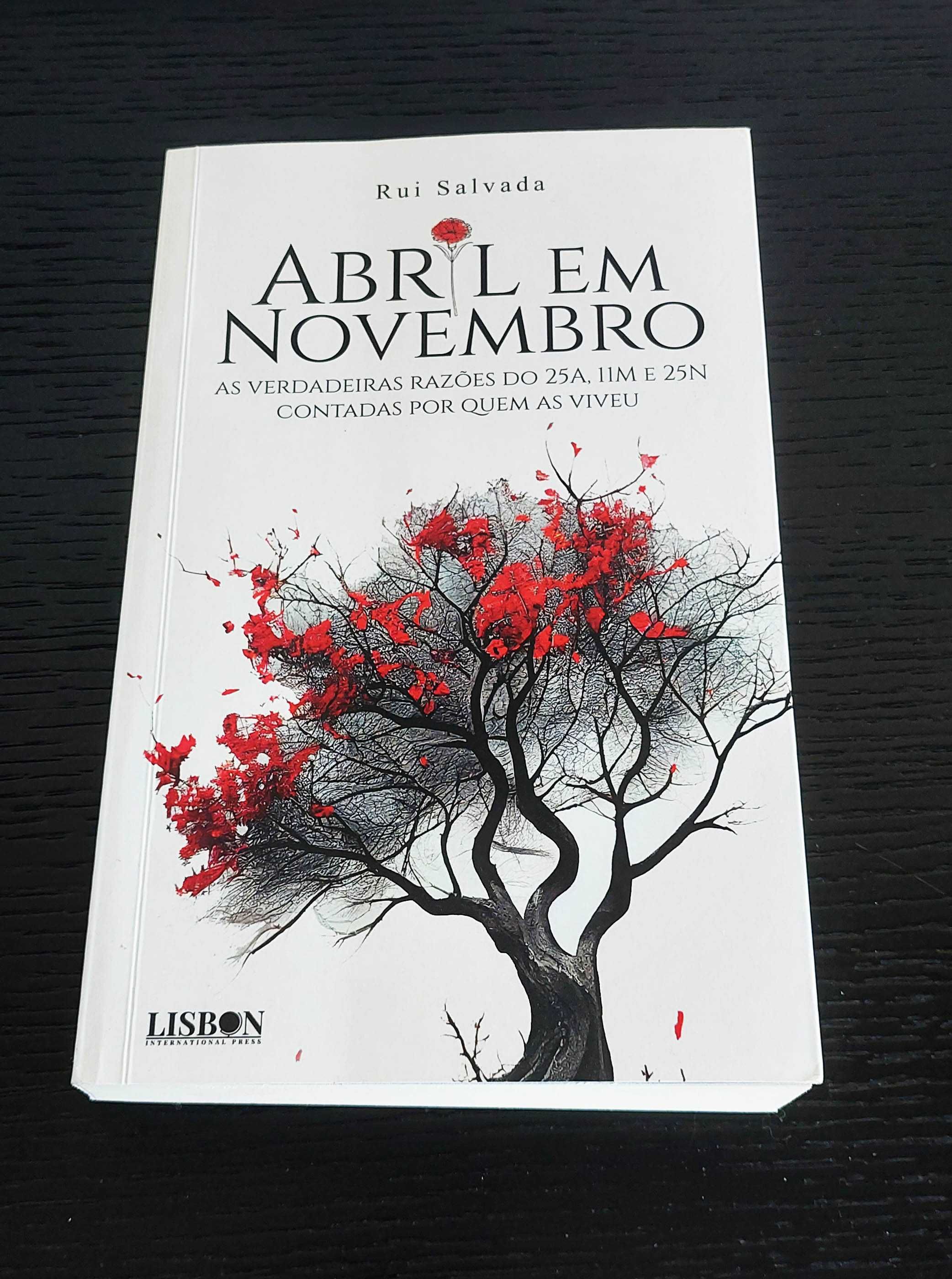 Abril em Novembro de Rui Salvada