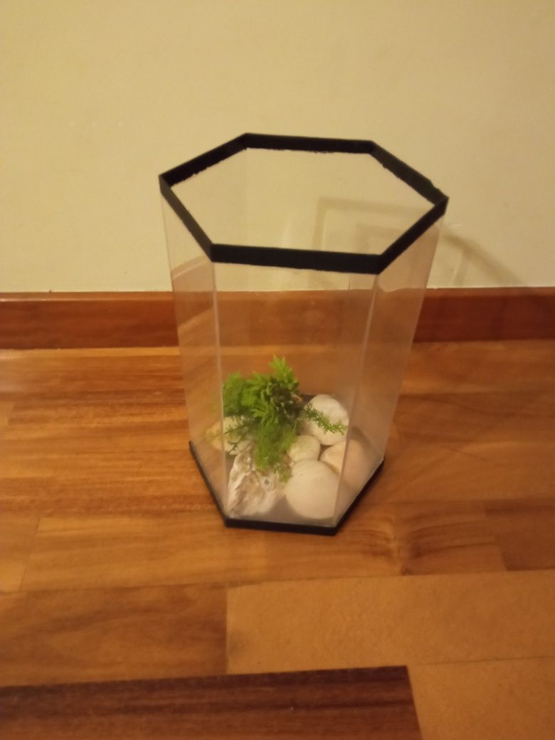 Aquários para peixes