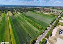 Płock | 20 267 m2 gruntu pod inwestycję | Bezpośr.