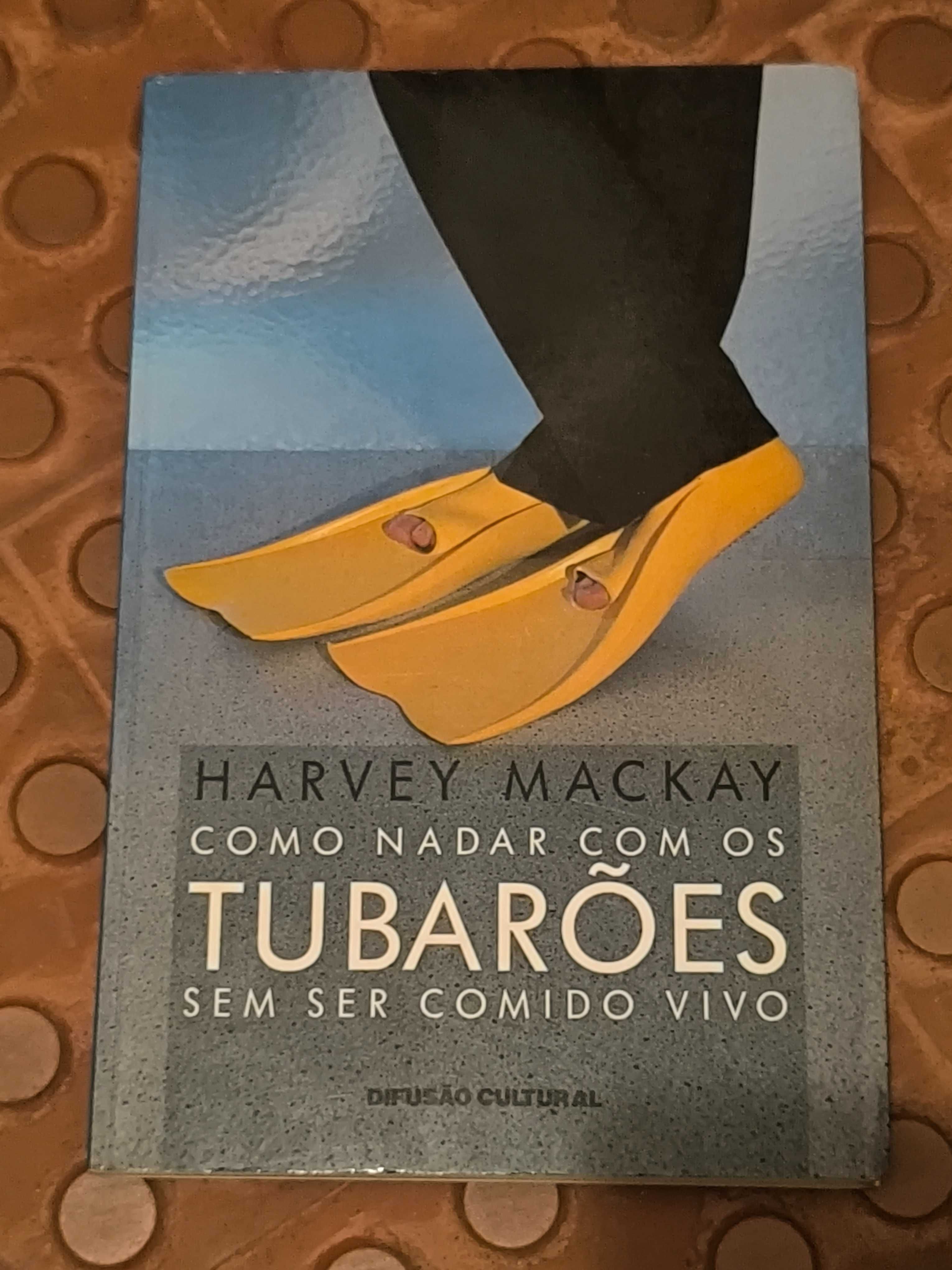 Como Nadar com os Tubarões Sem Ser Comido Vivo