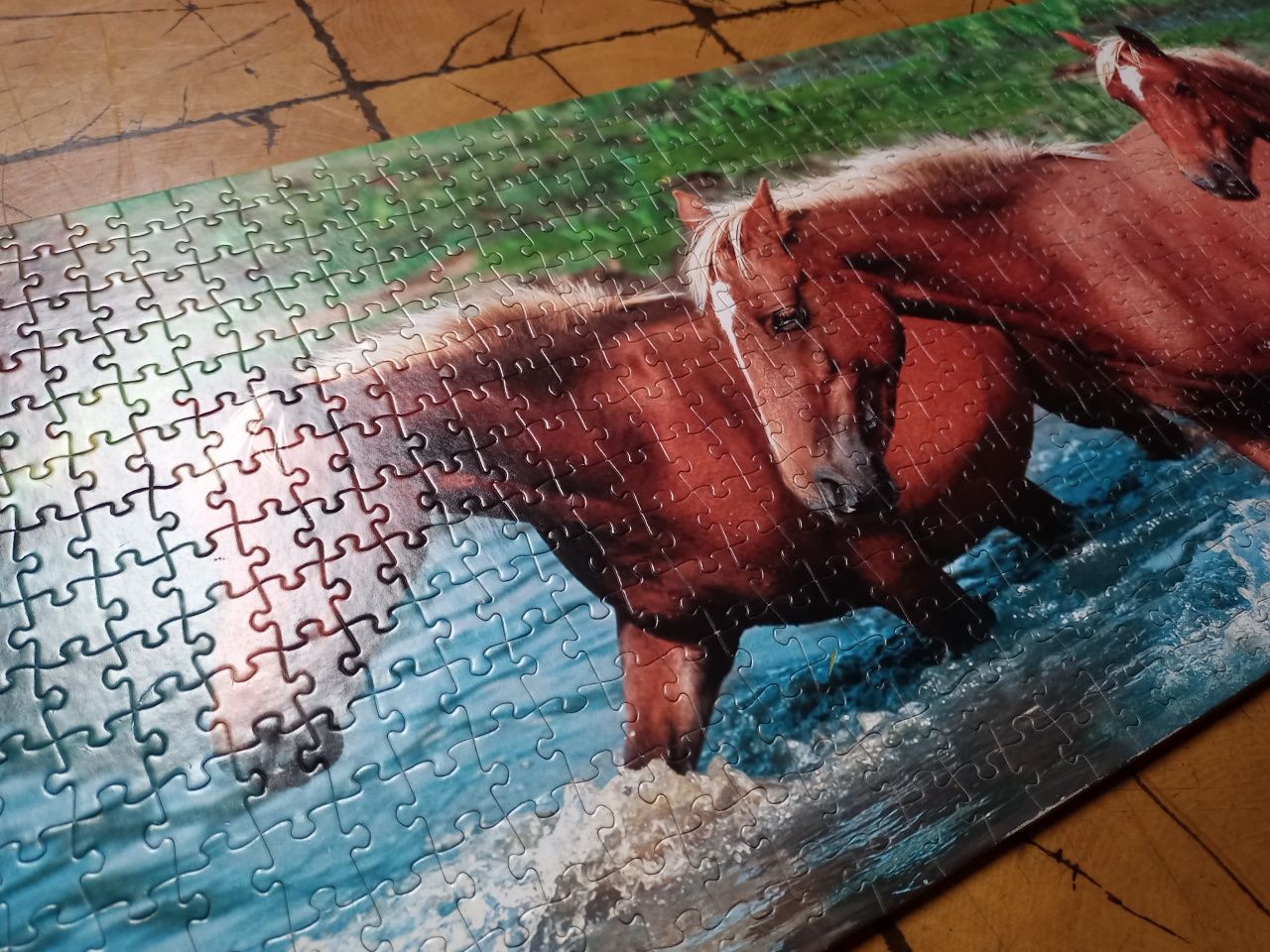 Obraz z puzzli - konie w wodzie