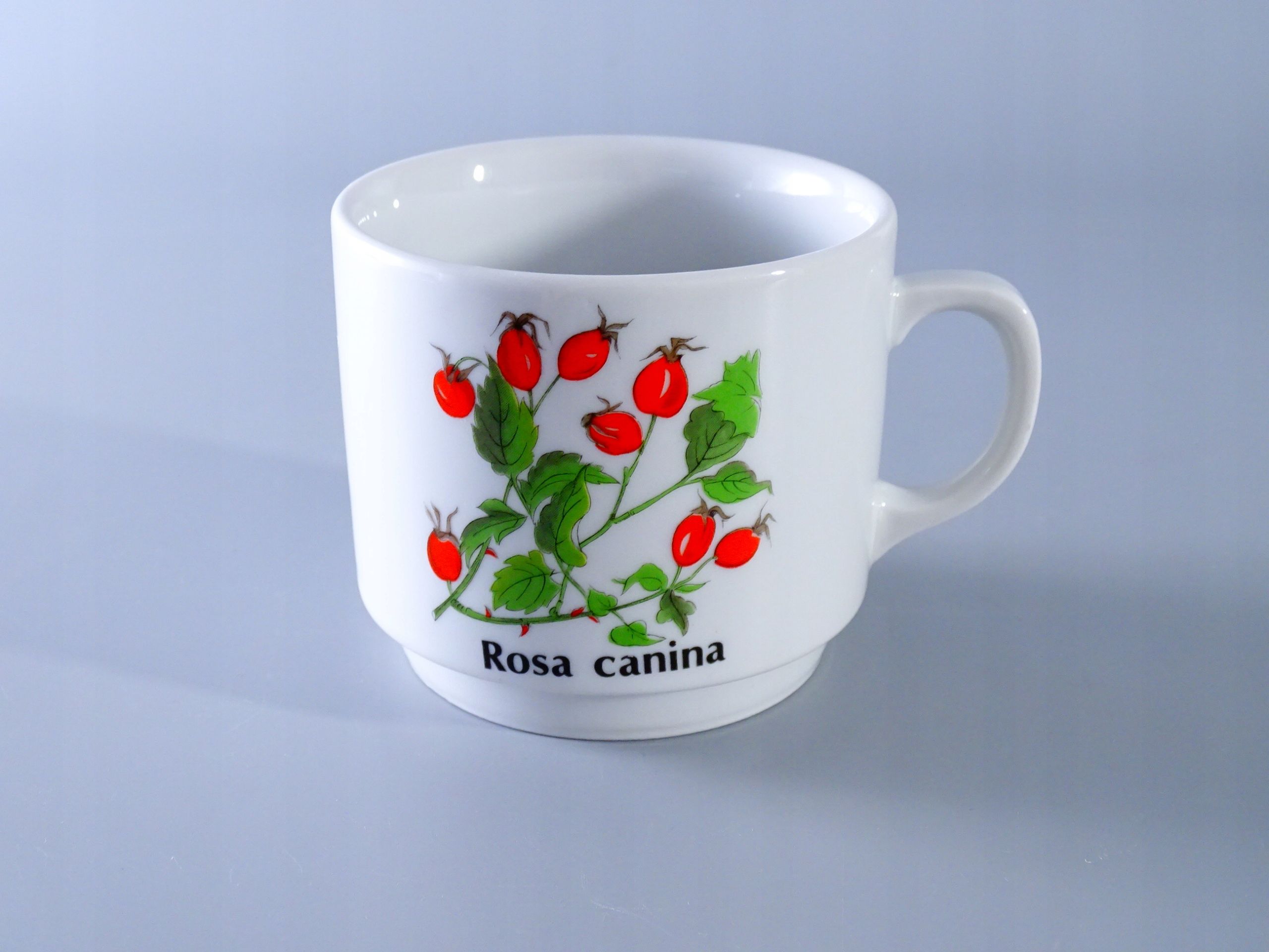 stary kubek porcelanowy dzika róża rosa canina