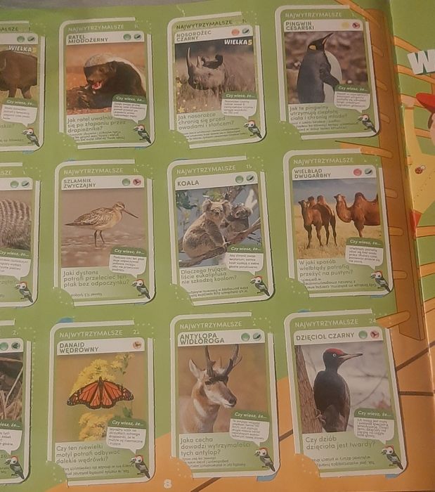 Super zwierzaki - album z kartami i zabawami