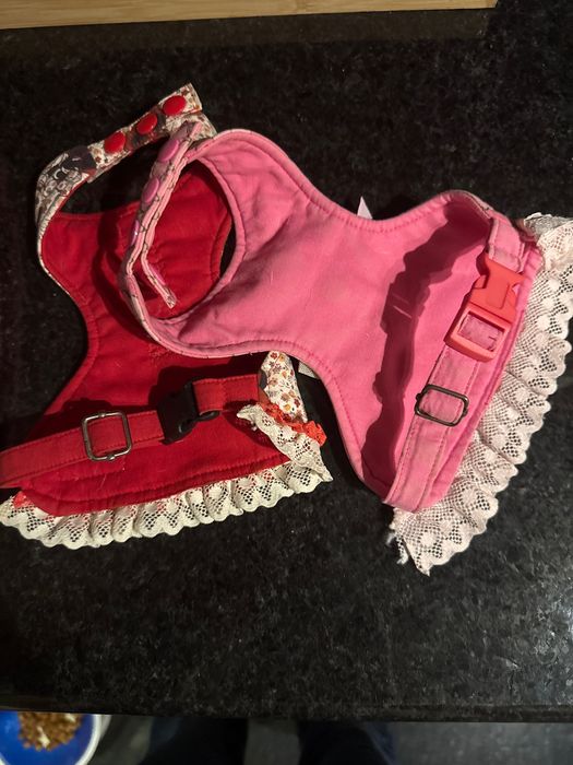 Roupa/Vestuário Chihuahua ( cão ou gato bebe)