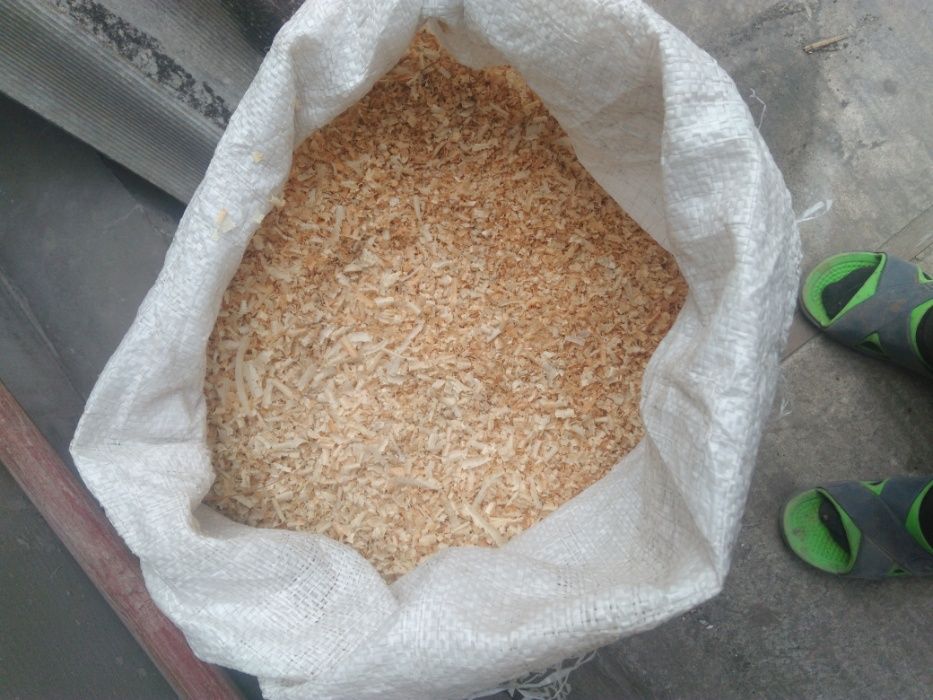 продаю стружку сосна
