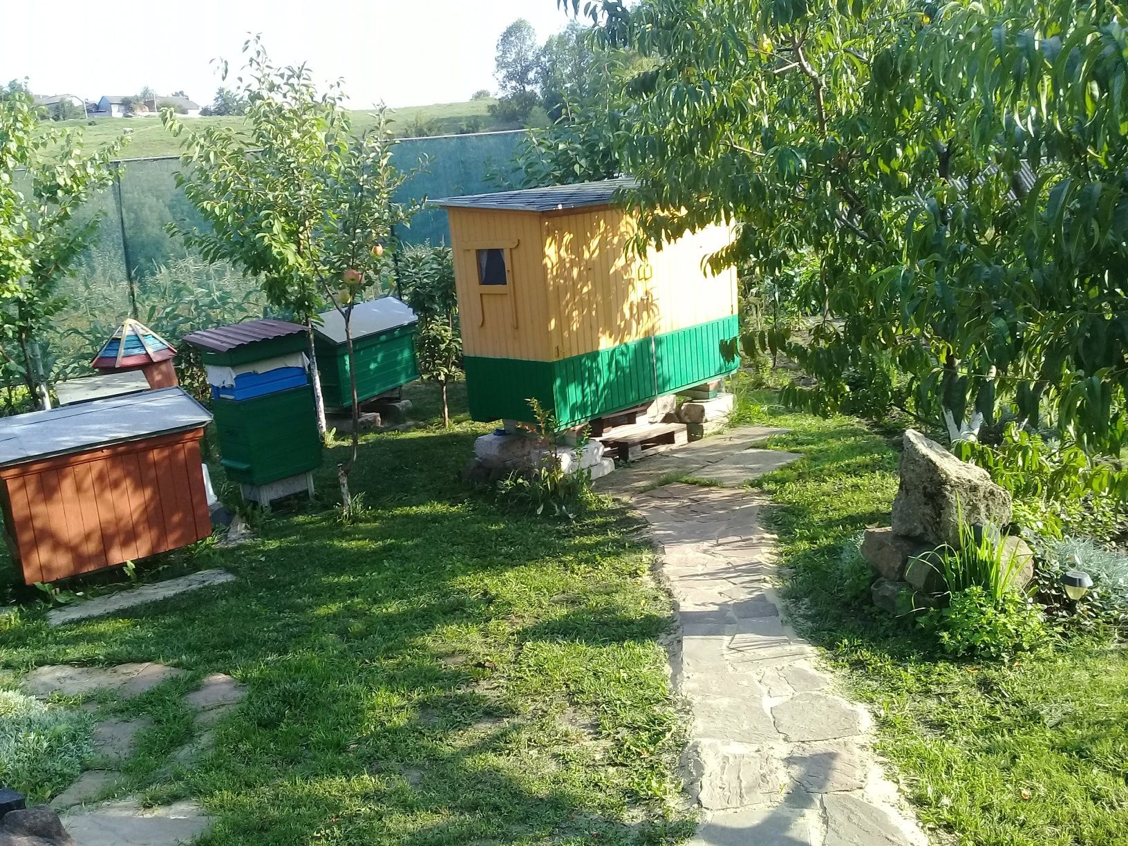 Продам бджолопакети/рої/бджолосімї