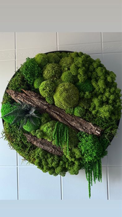 Obraz z mchu stabilizowanego