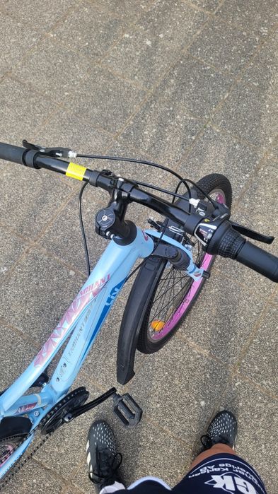 Rower Giant Liv enchant 24