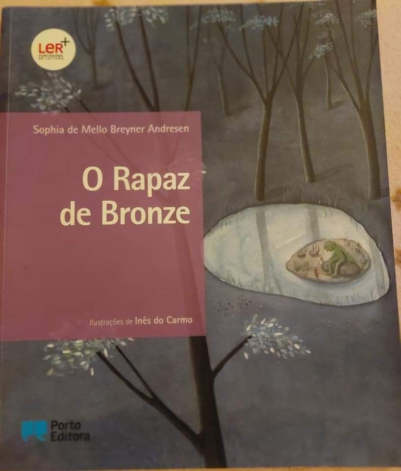 Livro "O rapaz do bronze"