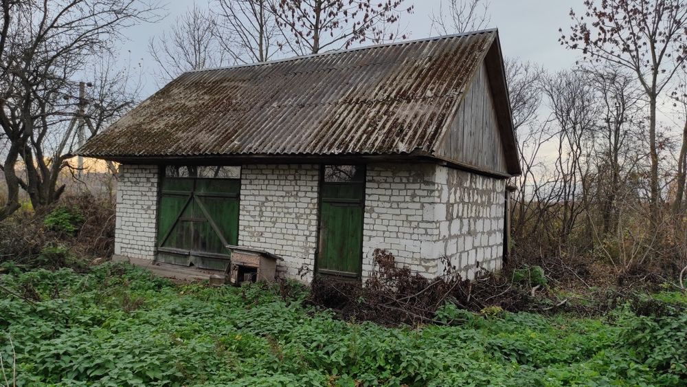 Приватний будинок Дача с. Колом'є