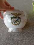 Malga vintage para colecionadores do grande Benfica