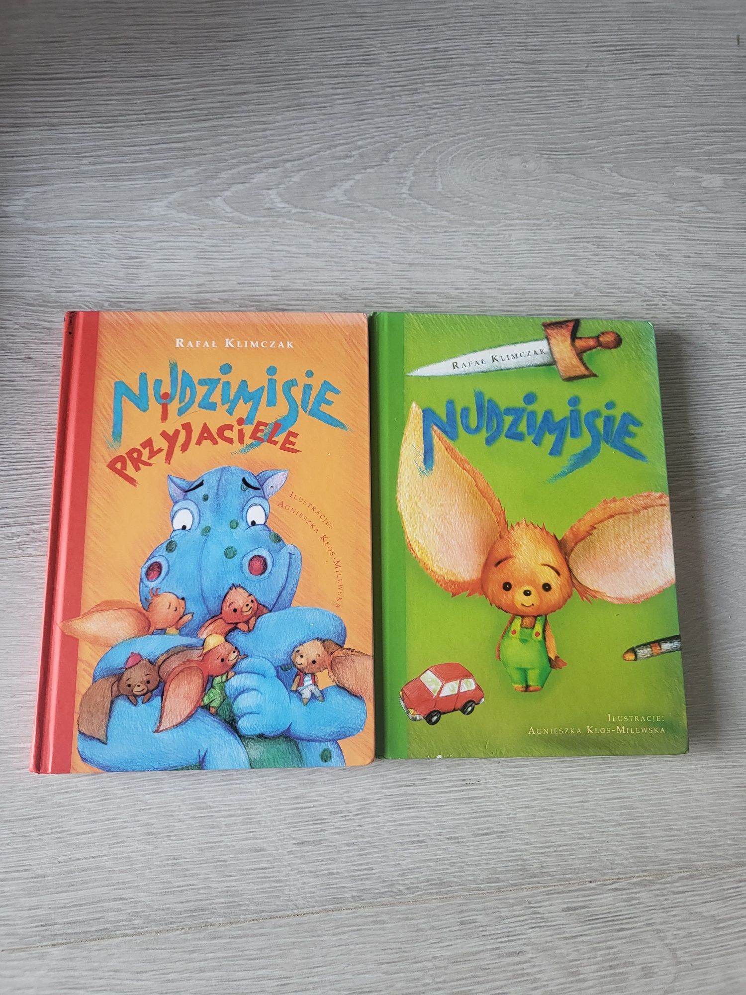 Książki dla dzieci NudziMisie