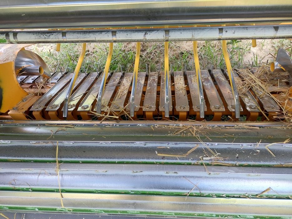 Sprzedam prase pronar z500k