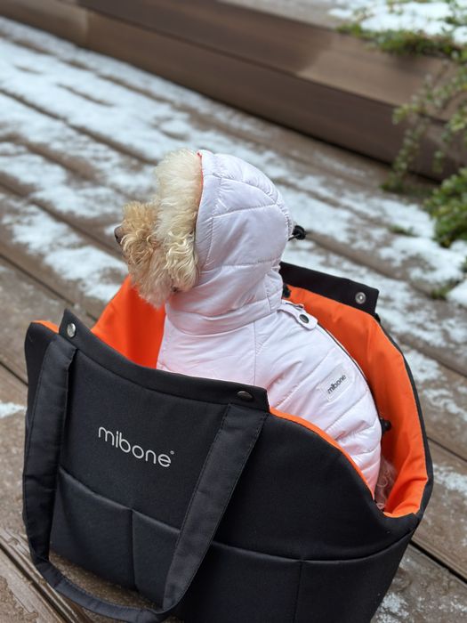 Zimowy kombinezon da psa, recznie szyty (szary, lilowy)